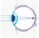 eye-scene
